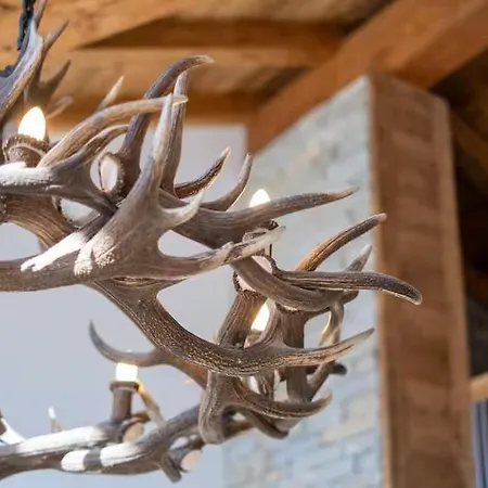 Chalet Solski, Luxe, Jacuzzi, Piscine, Sauna, Cinema Avec Majordome Les Deux Alpes